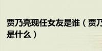 賈乃亮現任女友是誰(賈乃亮李小璐離婚原因是什么)