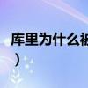 庫里為什么被稱為庫昊（庫里為什么叫庫良辰）