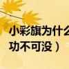 小彩旗為什么出名（小彩旗能上春晚她的姨媽功不可沒）