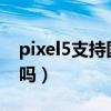 pixel5支持國內5G（谷歌Pixel6Pro支持5G嗎）