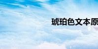 琥珀色文本原件