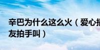 辛巴為什么這么火(愛心捐助1.5億獲得了網友拍手叫)