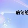 病句的常見類型、例子和修改