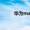 華為mate 40 pro（華為mate）