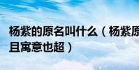 楊紫的原名叫什么(楊紫原名非常的高大上而且寓意也超)