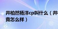 井柏然楊洋cp叫什么(井柏然楊洋的關系究竟怎么樣)