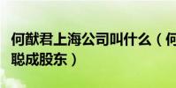 何猷君上海公司叫什么(何猷君公司上市王思聰成股東)