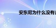 安東尼為什么沒有去雷婷?
