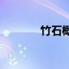 竹石概括的主要內容是什么？