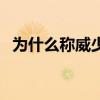 為什么稱威少為神龜（威少為什么是神龜）