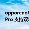 opporeno6pro支持的頻段（OPPOReno6Pro 支持雙5G嗎）