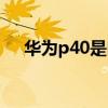 華為p40是曲屏嗎（華為p50是曲屏嗎）