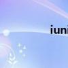 iuni是什么品牌（IUNI）
