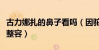 古力娜扎的鼻子看嗎(因駝峰鼻不見而被質疑整容)