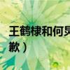 王鶴棣和何炅怎么了（王鶴棣為什么向何炅道歉）