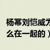 楊冪劉愷威為什么離的婚（劉愷威與楊冪是怎么在一起的）