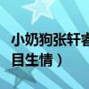 小奶狗張軒睿什么梗（網曝張軒睿和任家萱節目生情）