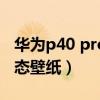 華為p40 pro動態壁紙（華為P50怎么設置動態壁紙）