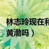 林志玲現在和黃渤有聯系嗎（林志玲真的喜歡黃渤嗎）