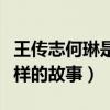 王傳志何琳是什么電視劇（這部劇講述了什么樣的故事）