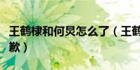 王鶴棣和何炅怎么了(王鶴棣為什么向何炅道歉)