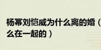 楊冪劉愷威為什么離的婚(劉愷威與楊冪是怎么在一起的)