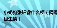 小奶狗張軒睿什么梗(網曝張軒睿和任家萱節目生情)