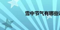 雪中節氣有哪些詩詞?