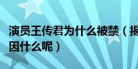 演員王傳君為什么被禁(揭秘王傳君被禁的原因什么呢)