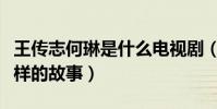 王傳志何琳是什么電視劇(這部劇講述了什么樣的故事)