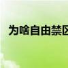 為啥自由禁區那么卡（自由禁區為什么卡）