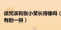 徐梵溪和張小斐長得像嗎(她的發展與張小斐有的一拼)