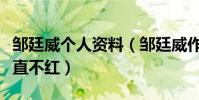 鄒廷威個人資料(鄒廷威作品有哪些為什么一直不紅)