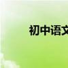 初中語文有哪些高效的學習方法？