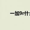 一加9r什么屏幕（一加9R屏幕多大）