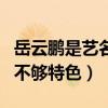 岳云鵬是藝名嗎（岳云鵬的本名不難聽但是卻不夠特色）