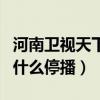 河南衛視天下收藏節目停播了嗎（天下收藏為什么停播）