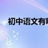 初中語文有哪些學習技巧 如何提高成績？