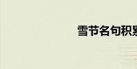 雪節名句積累