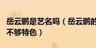 岳云鵬是藝名嗎(岳云鵬的本名不難聽但是卻不夠特色)