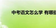 中考語文怎么學 有哪些學習方法?