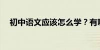 初中語文應該怎么學?有哪些學習技巧?