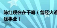 陳紅現在在干嘛(曾經火遍全國后因婚姻而斷送事業)