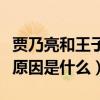 賈乃亮和王子文什么時候在一起的（兩人分手原因是什么）