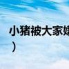 小豬被大家嫌棄了嗎（小豬為什么不當隊長了）