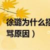 徐璐為什么招黑引起網友熱議（曾大方回應被罵原因）
