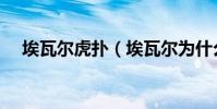埃瓦爾虎撲(埃瓦爾為什么是虎撲主隊)