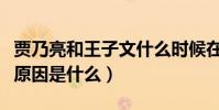 賈乃亮和王子文什么時候在一起的(兩人分手原因是什么)