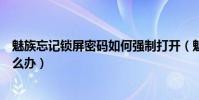 魅族忘記鎖屏密碼如何強制打開(魅族手機忘記鎖屏密碼怎么辦)
