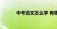 中考語文怎么學 有哪些技巧?